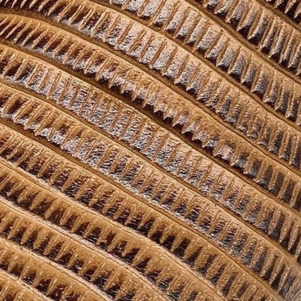 Men’s Leather Lizard Print Western Cowboy Boots Square Toe