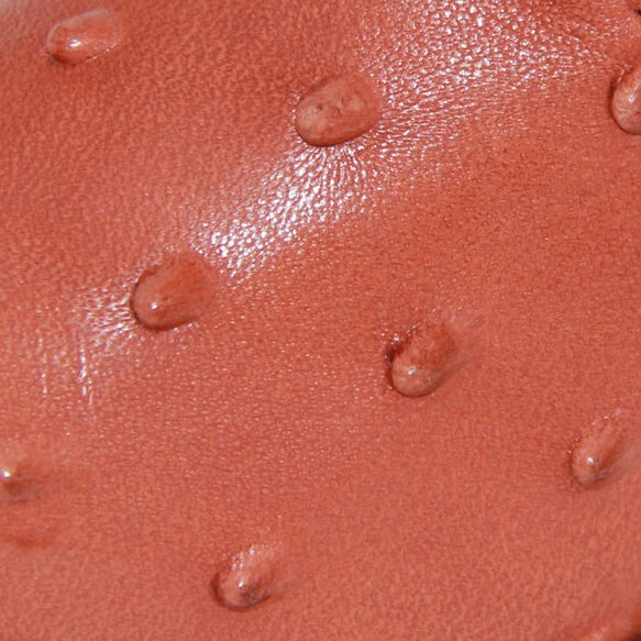 Kids Ostrich Print Western Boots Infant Toddler Cowboy Snip Toe Boot