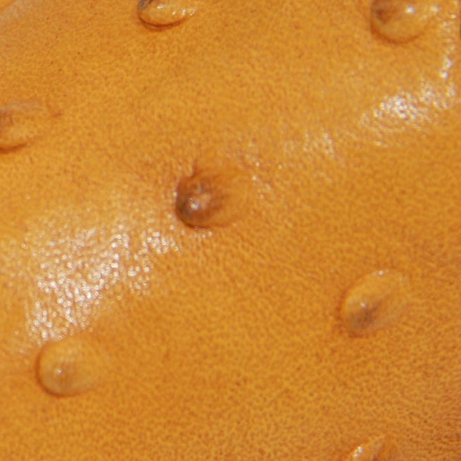 Kids Ostrich Print Western Boots Infant Toddler Cowboy Snip Toe Boot