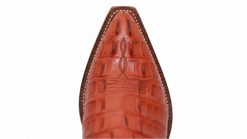 Snip Toe Cowboy Boot Close-Up - Crocodile Alligator Print